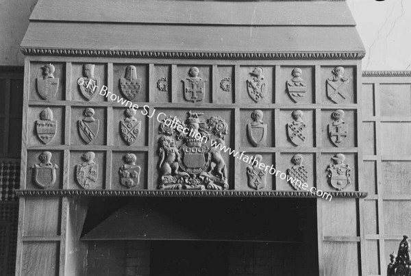 GORMANSTOWN CASTLE  CARVING ON FIREPLACE IN GREAT HALL